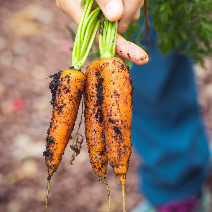 Why Organic?